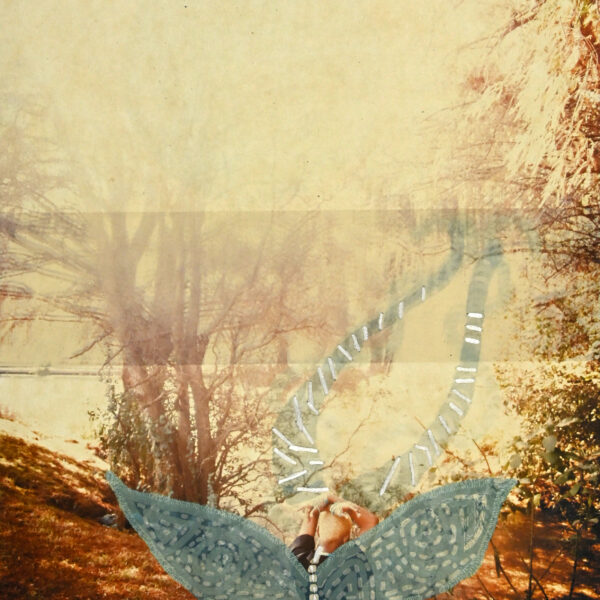 Butterfly Effect I, KHUMO RAMAILA